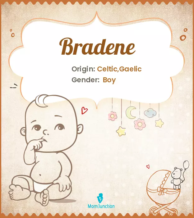 bradene_image