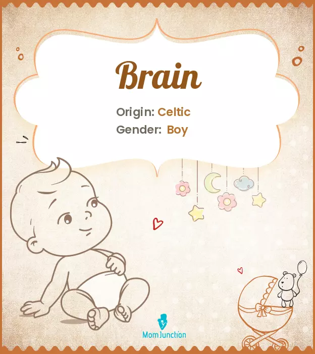 Origin, Meaning & Other Facts About Baby Name Brain | MomJunction