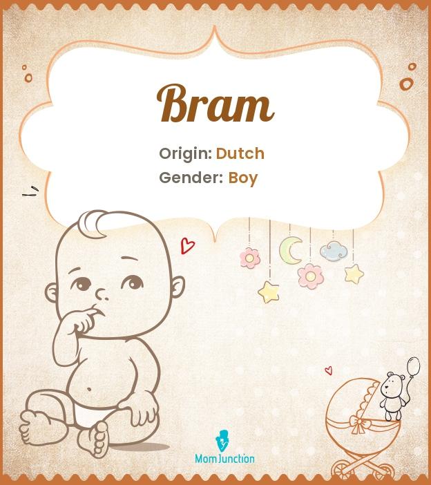 Bram Name Meaning, Origin, History, and Popularity_image