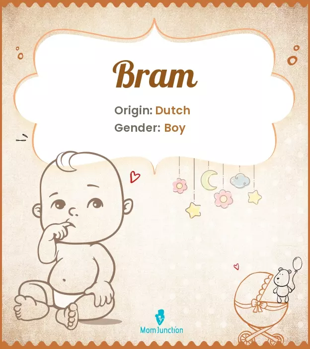 Bram: Name Meaning, Origin, History, And Popularity_image