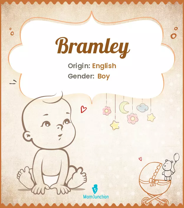 Origin, Meaning & Other Facts About Baby Name Bramley ...