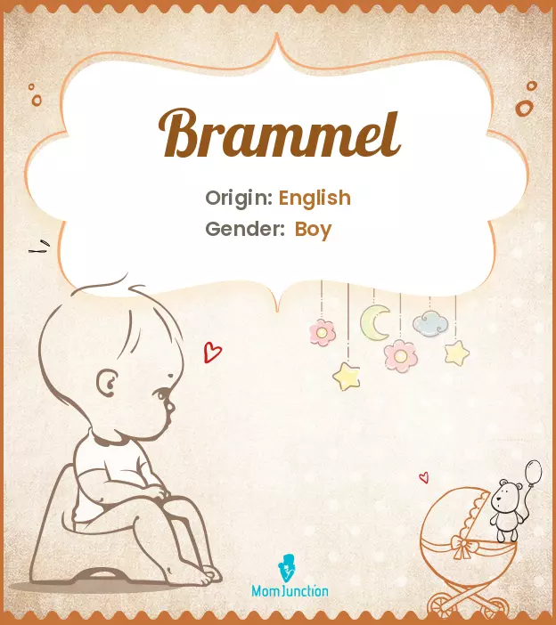 brammel_image