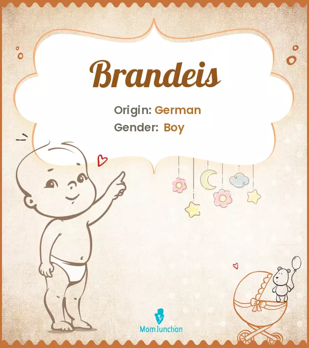 Baby Name Brandeis: Meaning, Origin, History, And Popularity ...
