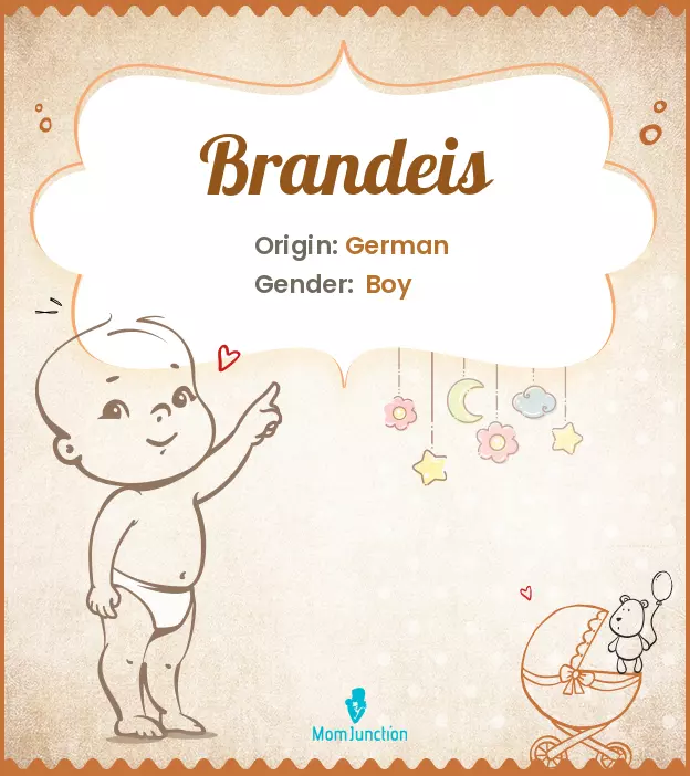 Origin, Meaning & Other Facts About Baby Name Brandeis_image