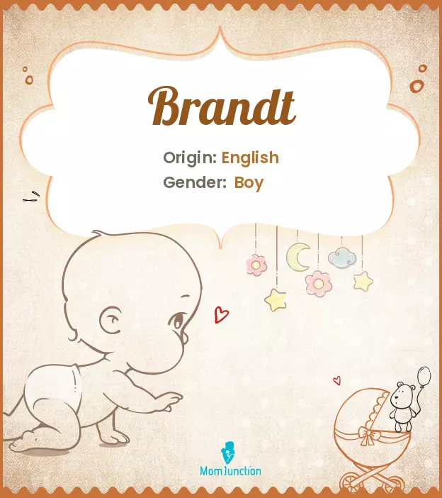 Origin, Meaning & Other Facts About Baby Name Brandt ...