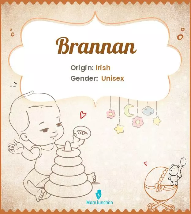 Origin, Meaning & Other Facts About Baby Name Brannan_image