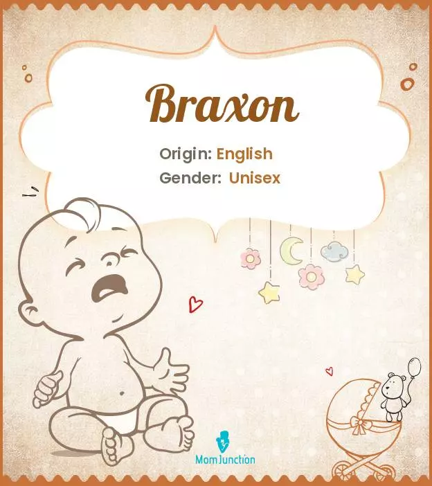 Origin, Meaning & Other Facts About Baby Name Braxon ...