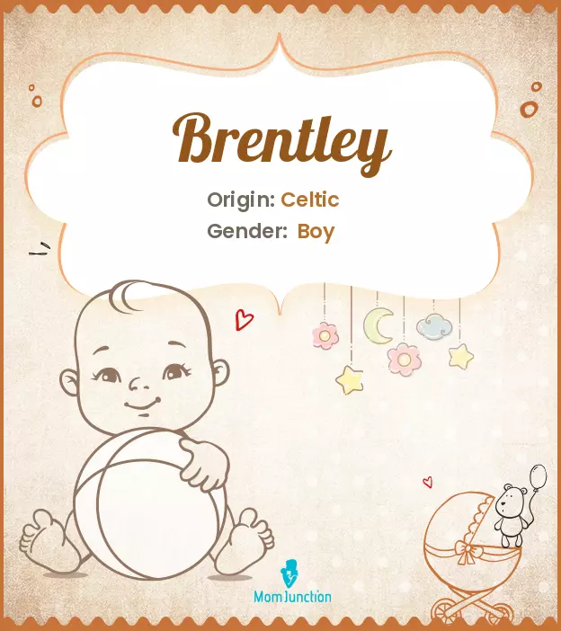 Origin, Meaning & Other Facts About Baby Name Brentley_image