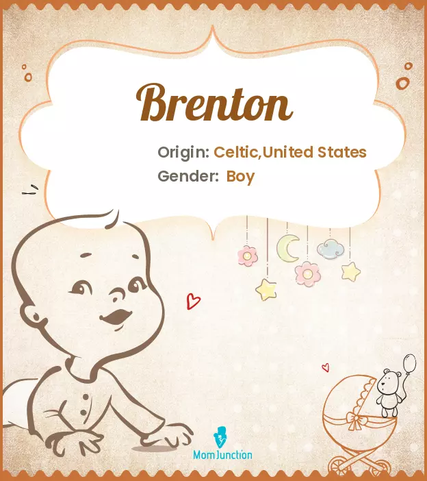 Origin, Meaning & Other Facts About Baby Name Brenton_image