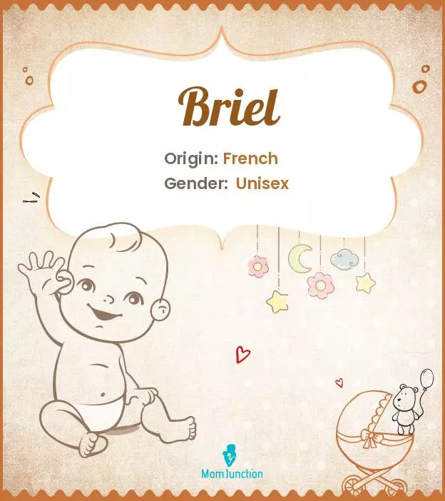 Origin, Meaning & Other Facts About Baby Name Briel | MomJunction