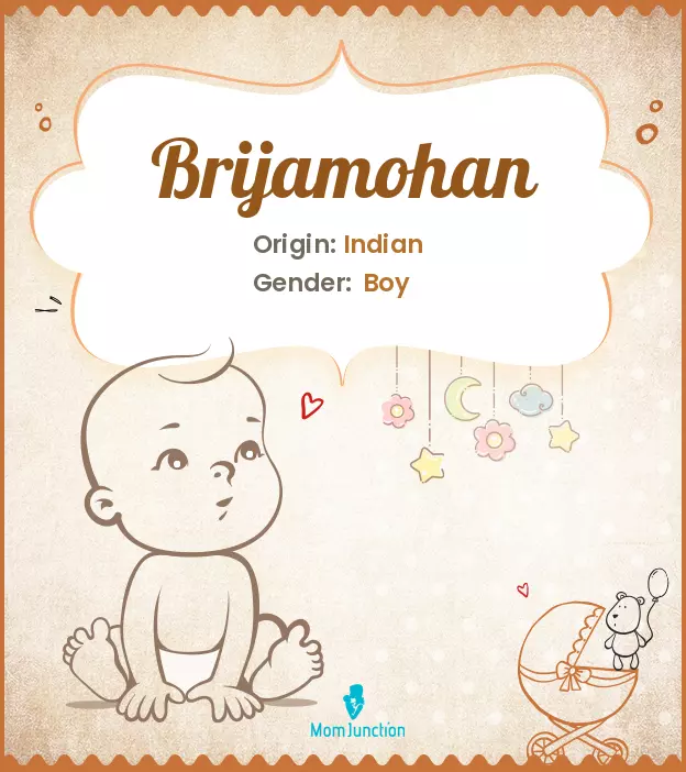 Brijamohan_image