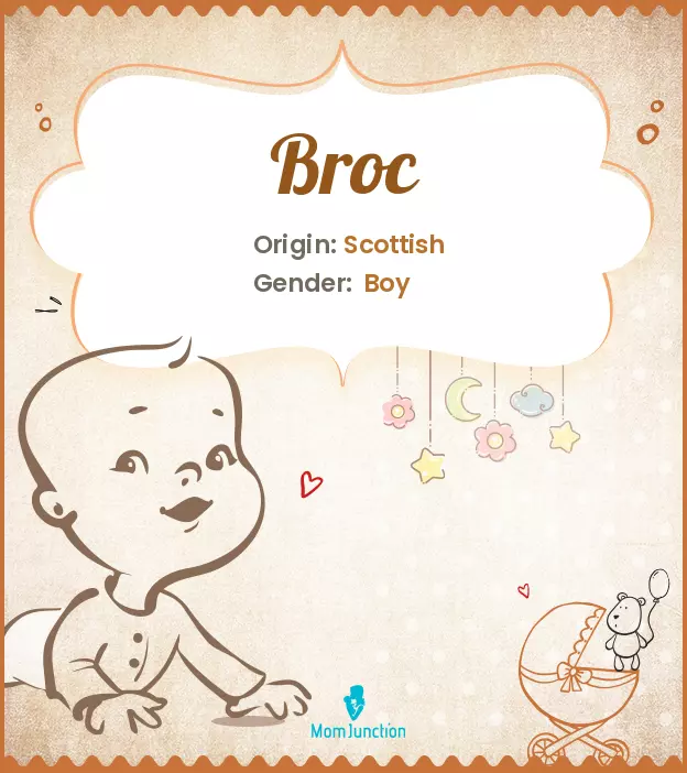 Origin, Meaning & Other Facts About Baby Name Broc_image