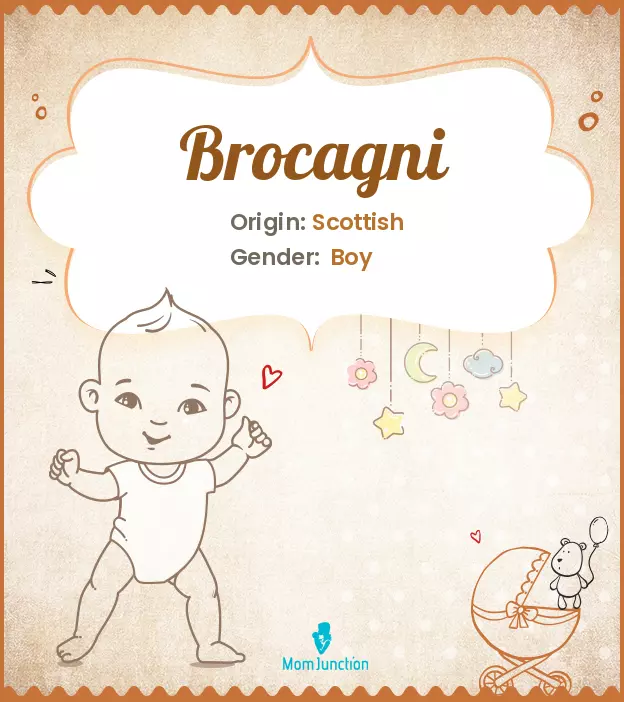 brocagni_image