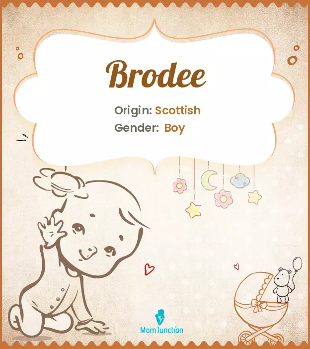 brodee: Name Meaning, Origin, History, And Popularity | MomJunction