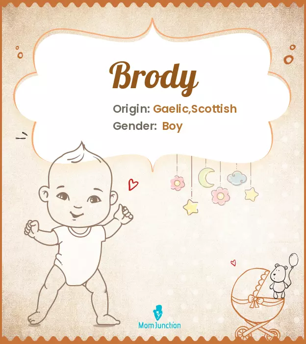 Brody: Name Meaning, Origin, History, And Popularity | MomJunction