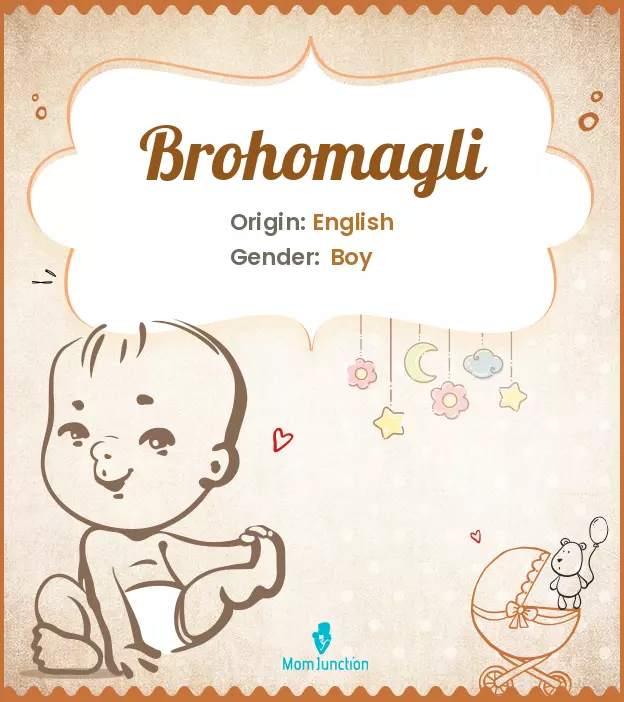 brohomagli_image