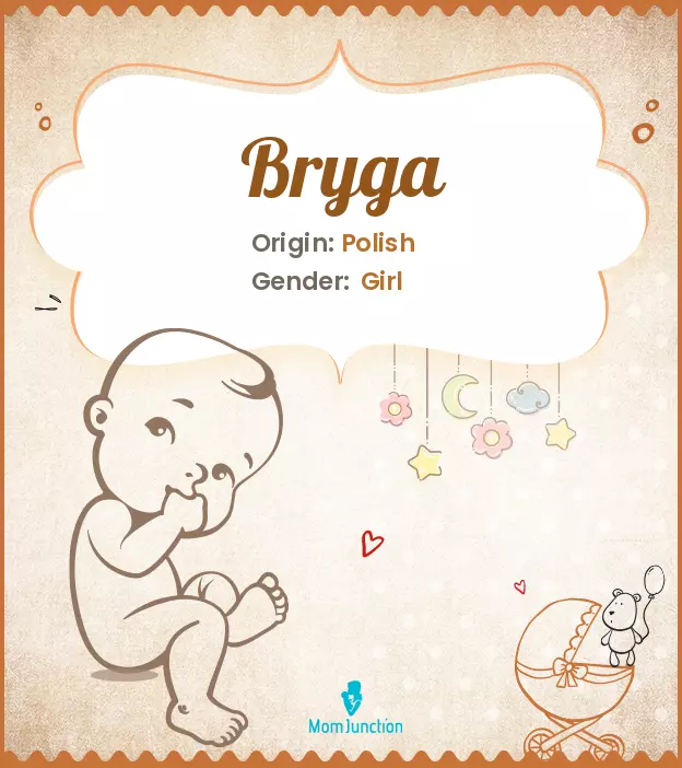 Bryga_image