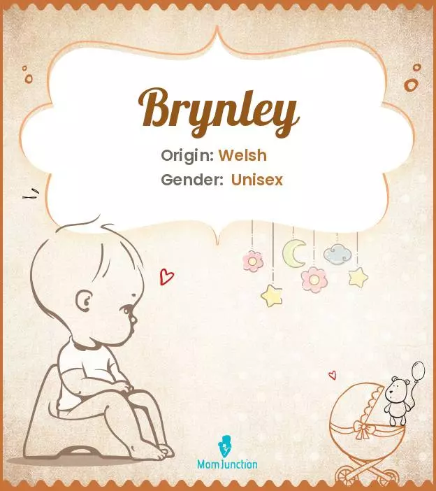 Origin, Meaning & Other Facts About Baby Name Brynley ...