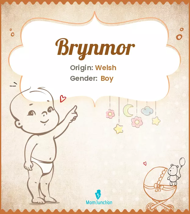 brynmor_image