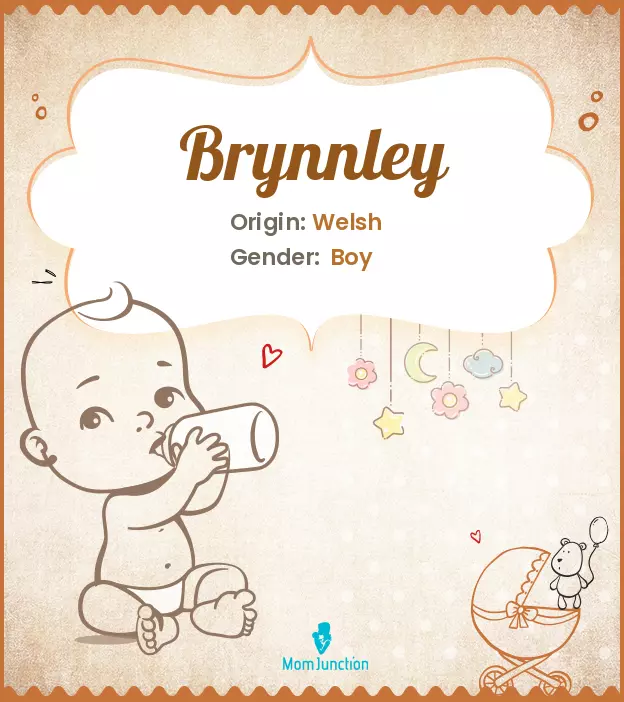 Origin, Meaning & Other Facts About Baby Name Brynnley ...