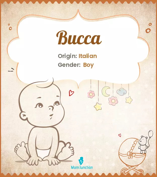 bucca_image