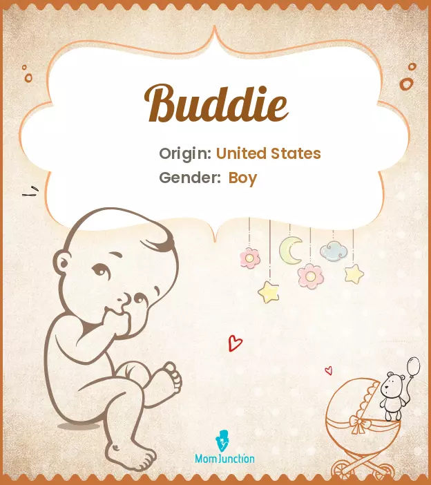 buddie_image