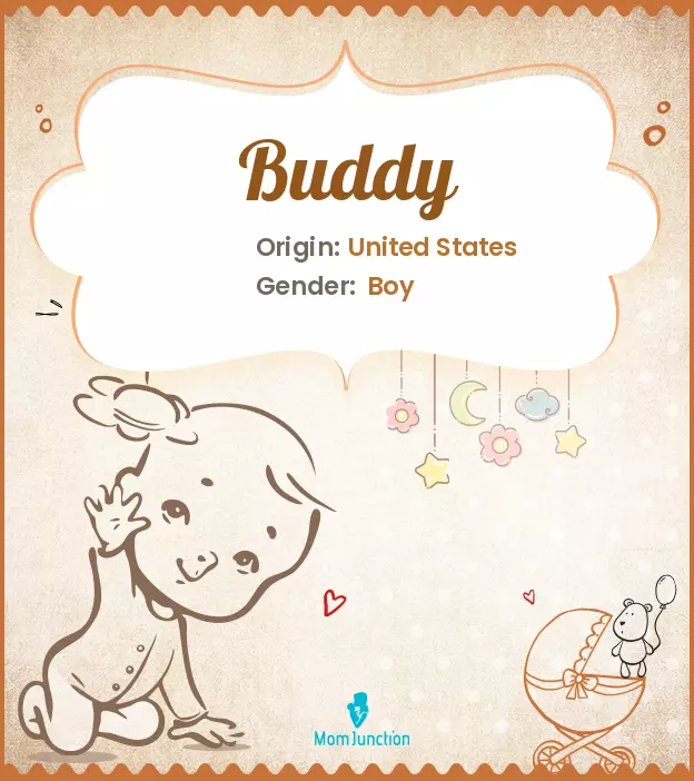 Origin, Meaning & Other Facts About Baby Name Buddy ...