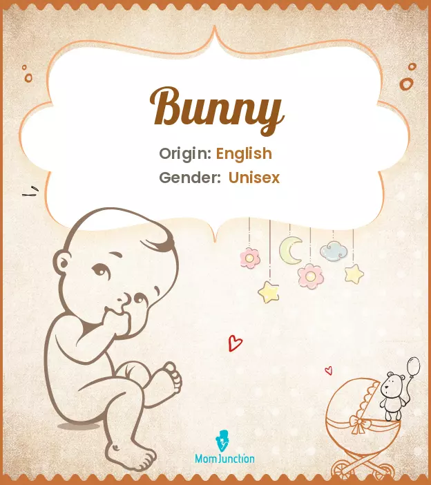 Origin, Meaning & Other Facts About Baby Name Bunny ...