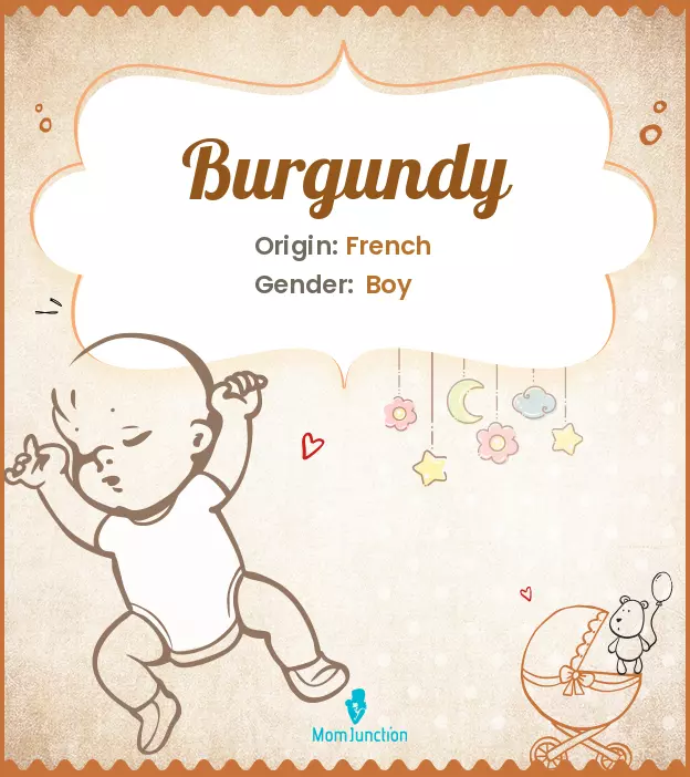 Origin, Meaning & Other Facts About Baby Name Burgundy ...