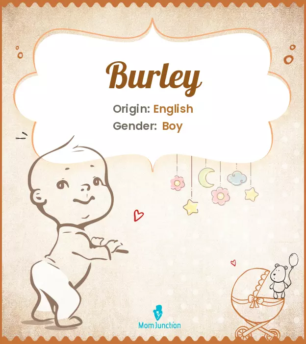 Origin, Meaning & Other Facts About Baby Name Burley ...