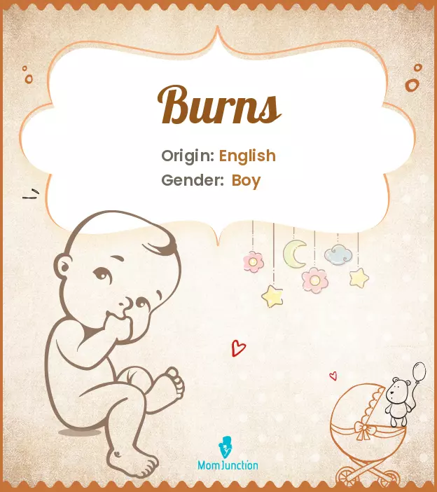 Origin, Meaning & Other Facts About Baby Name Burns | MomJunction