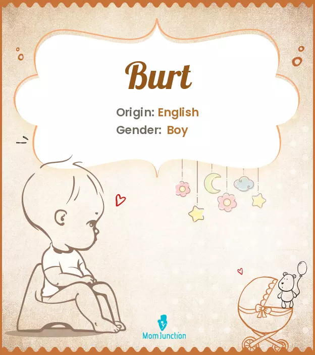 Origin, Meaning & Other Facts About Baby Name Burt_image