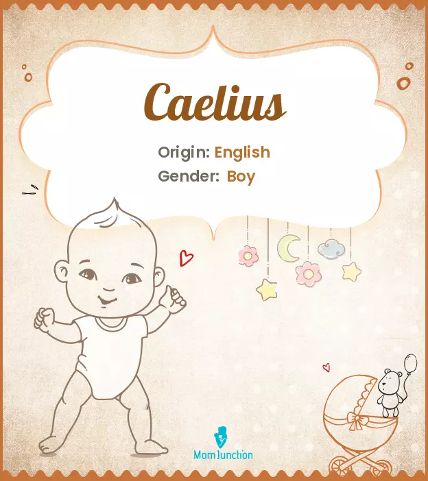 Caelius: Meaning, Origin, Popularity_image