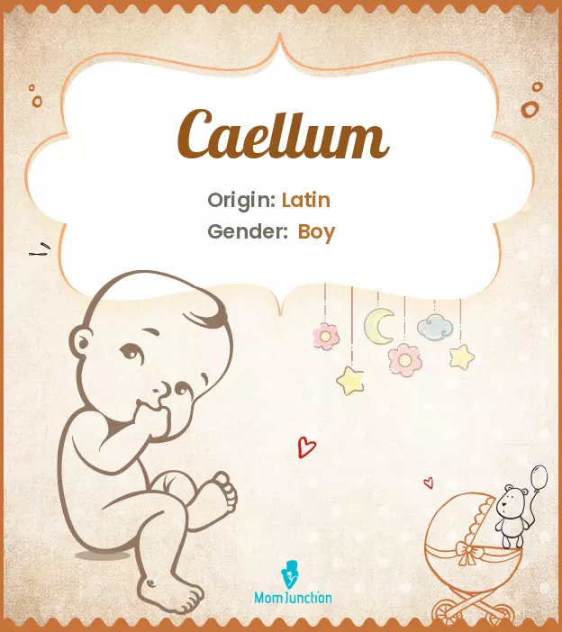 Caellum: Meaning, Origin, Popularity | MomJunction