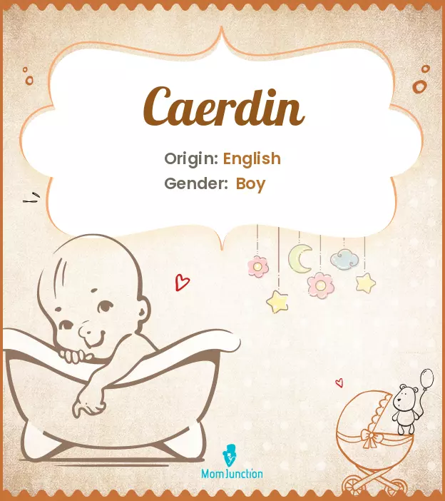 caerdin_image