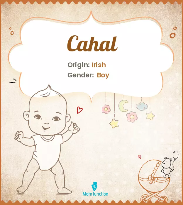 Cahal: Meaning, Origin, Popularity_image