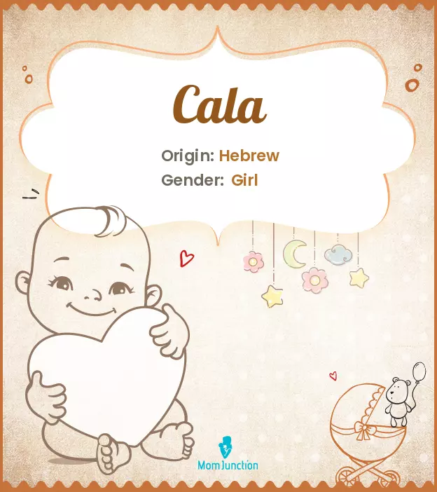 Cala: Meaning, Origin, Popularity | MomJunction