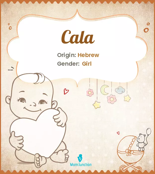 Cala: Meaning, Origin, Popularity_image