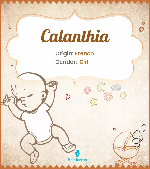 calanthia_image