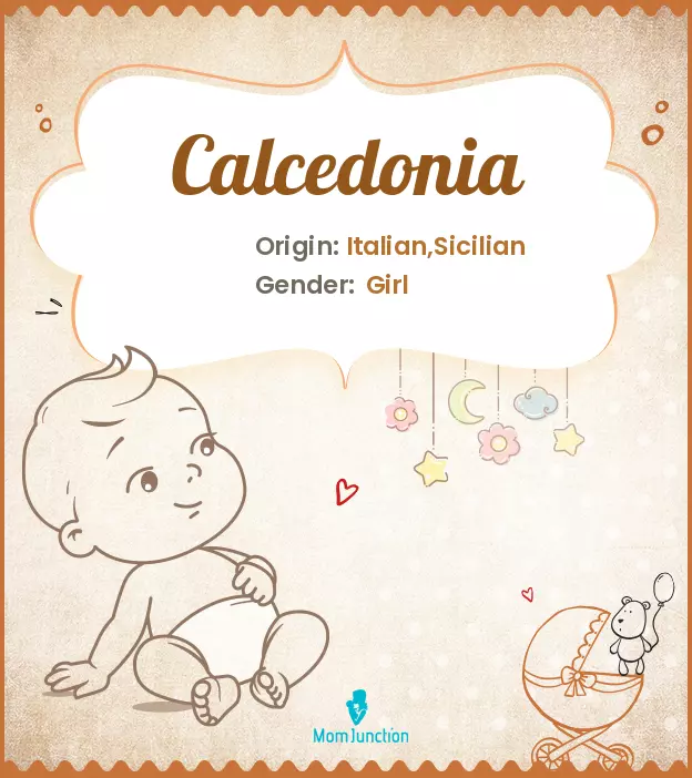 Calcedonia_image