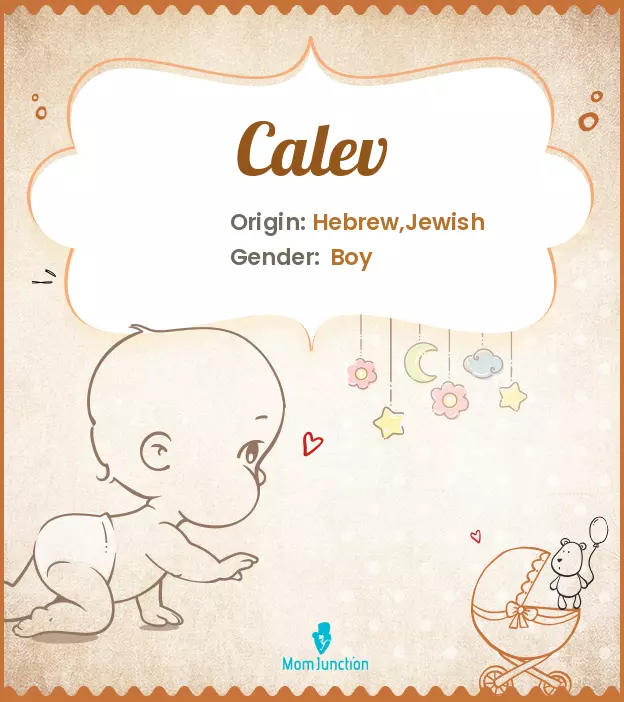 Calev: Meaning, Origin, Popularity | MomJunction