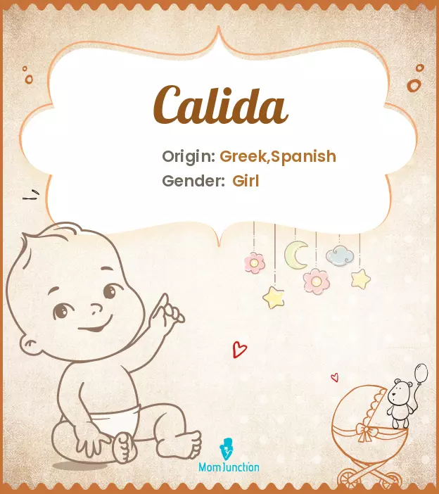 Calida: Meaning, Origin, Popularity | MomJunction