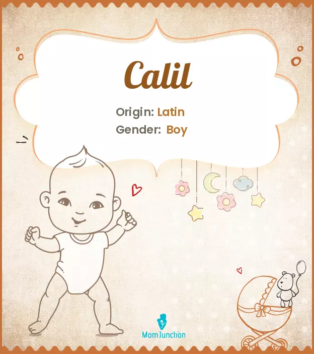 Calil: Meaning, Origin, Popularity | MomJunction