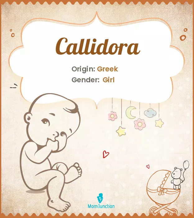 Callidora: Meaning, Origin, Popularity | MomJunction