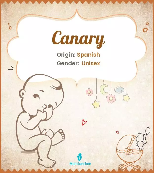 Canary: Meaning, Origin, Popularity_image