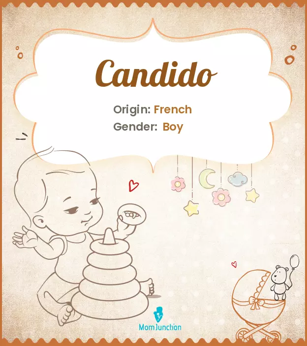 Candido: Meaning, Origin, Popularity_image