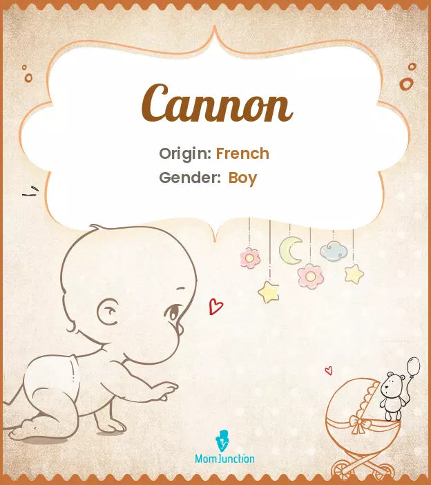 Cannon: Meaning, Origin, Popularity | MomJunction