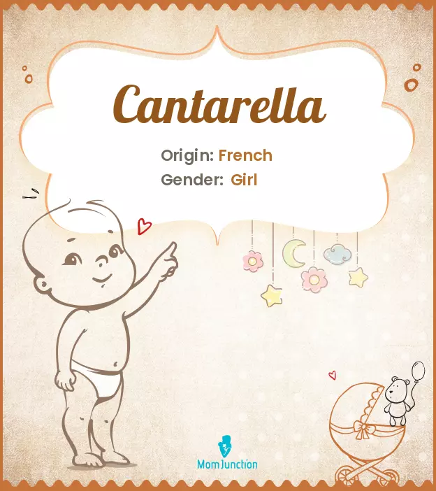 Cantarella: Meaning, Origin, Popularity | MomJunction