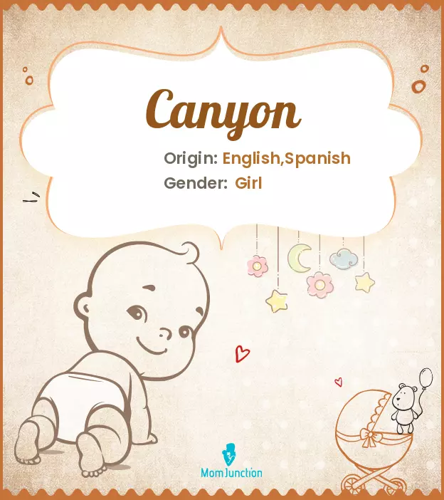 Canyon: Meaning, Origin, Popularity | MomJunction