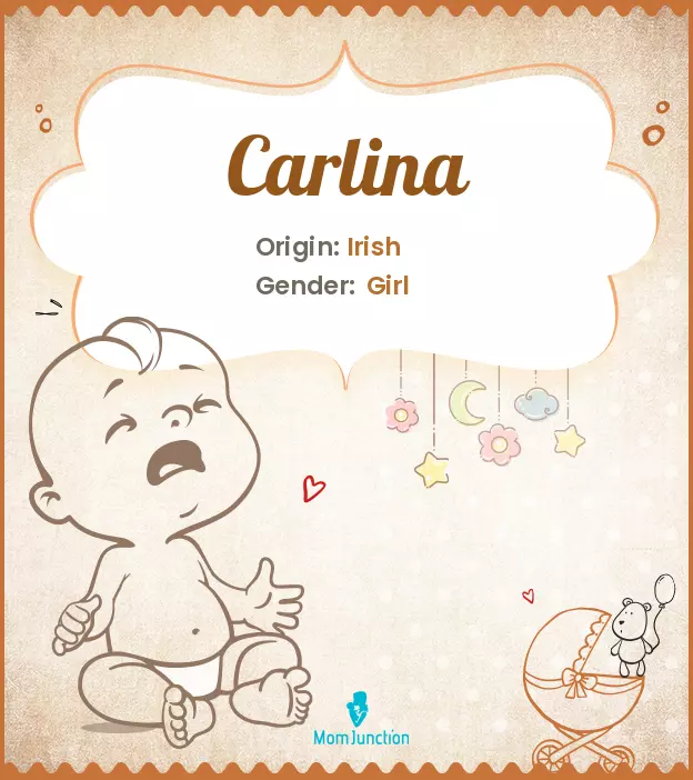 Carlina: Meaning, Origin, Popularity_image